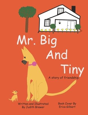 Judith Brewer - Mr. Big and Tiny, Häftad. Tillgänglighet: Lägg i varukorg