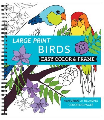 New Seasons, Publications International Ltd - Large Print Easy Color & Frame - Birds (Stress Free Coloring Book), Häftad