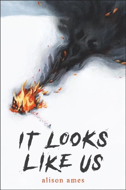 Alison Ames - It Looks Like Us, E-bok