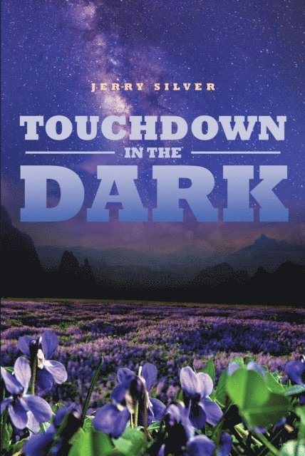 Jerry Silver - Touchdown in the Dark, E-bok