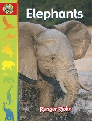 Susan Yoder Ackerman, Jennie Hissom - Elephants, Inbunden