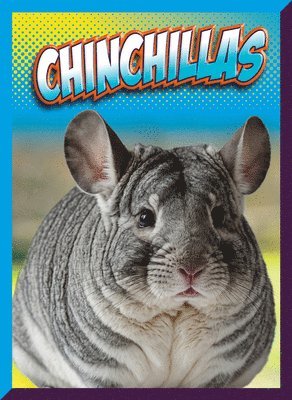 Marysa Storm - Chinchillas, Häftad