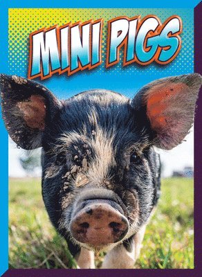 Marysa Storm - Mini Pigs, Häftad
