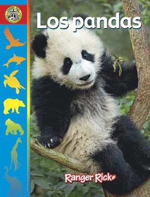 Susan Yoder Ackerman, Fran Sammis - Los Pandas: Spanish Edition, Inbunden