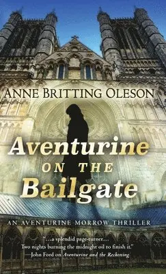Anne Britting Oleson - Aventurine on the Bailgate, Inbunden. Tillgänglighet: Lägg i varukorg