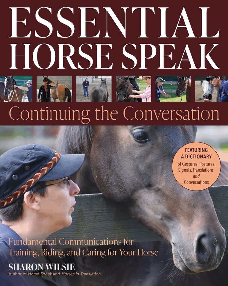 Sharon Wilsie - Essential Horse Speak: Continuing the Conversation, Häftad