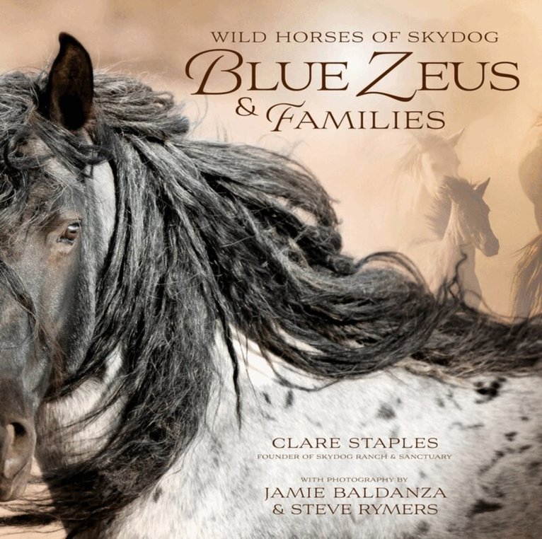 Clare Staples - Wild Horses of Skydog, Inbunden. Tillgänglighet: Lägg i varukorg