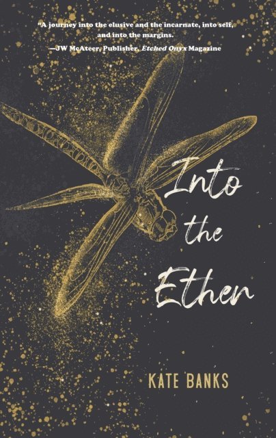 Kate Banks - Into the Ether, E-bok