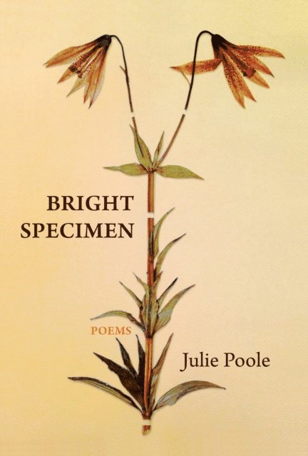 Julie Poole - Bright Specimen, E-bok