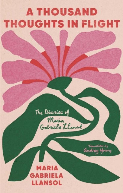 Maria Gabriela Llansol - Thousand Thoughts in Flight, E-bok