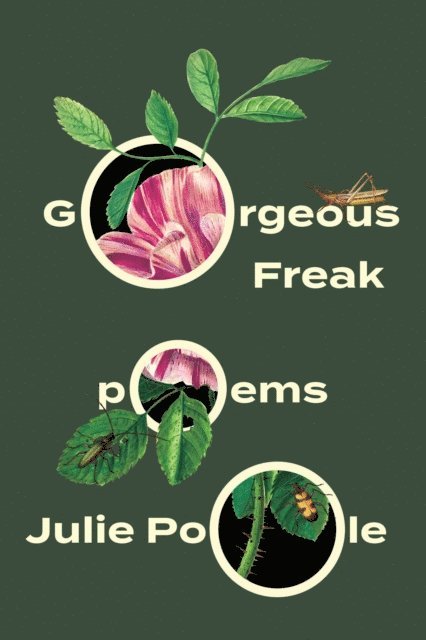Julie Poole - Gorgeous Freak, E-bok