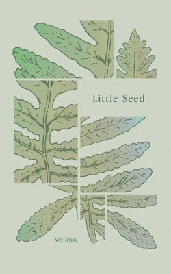 Wei Tchou - Little Seed, Häftad