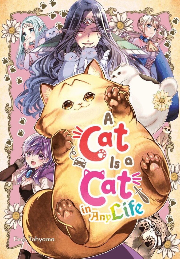 Ema Toyama - Cat Is a Cat in Any Life, Häftad