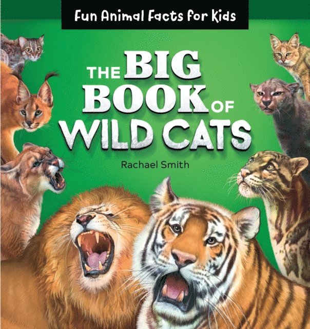 Rachael Smith - Big Book of Wild Cats, E-bok