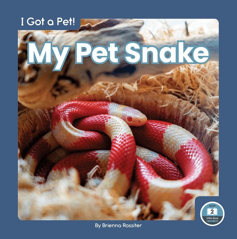 My Pet Snake