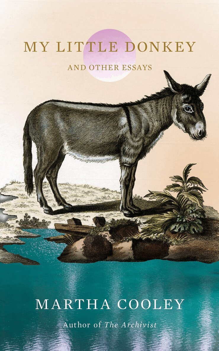 Martha Cooley - My Little Donkey, Häftad