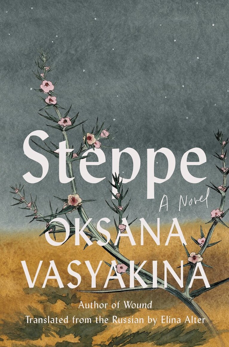 Oksana Vasyakina, Elina Alter - Steppe, Inbunden