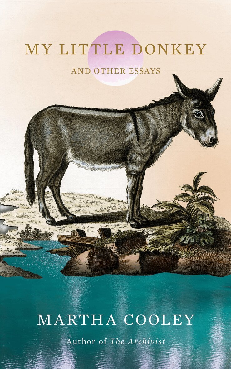 Martha Cooley - My Little Donkey, Häftad