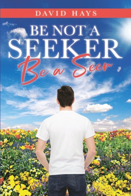 David Hays - Be Not a Seeker, E-bok