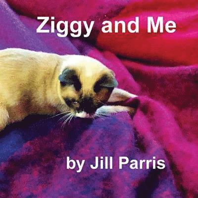 Jill Parris - Ziggy and Me, Häftad. Tillgänglighet: Lägg i varukorg