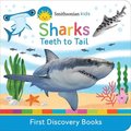 Smithsonian Kids Sharks: Teeth to Tail
