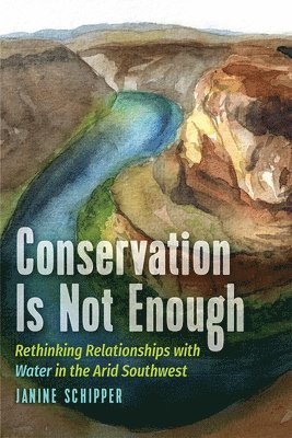 Janine Schipper - Conservation is not Enough, Häftad