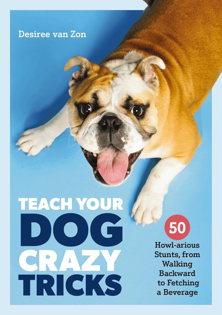 Teach Your Dog Crazy Tricks