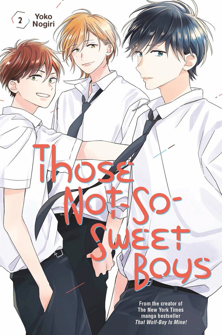 Yoko Nogiri - Those Not-So-Sweet Boys 2, Häftad