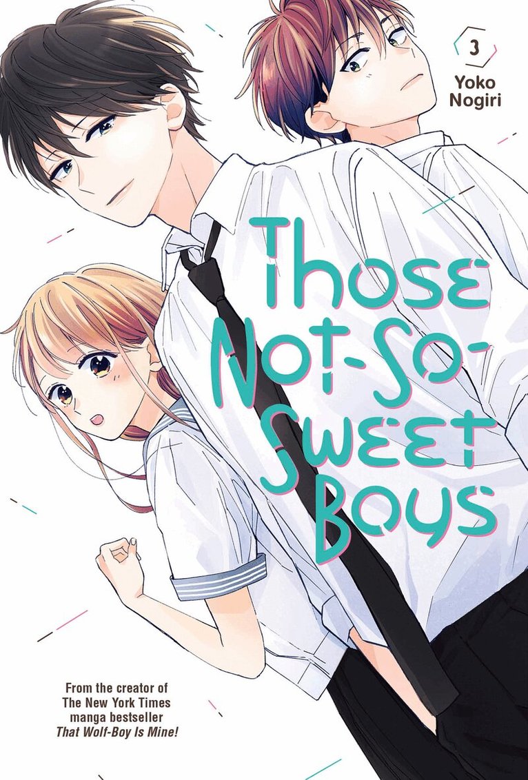 Yoko Nogiri - Those Not-So-Sweet Boys 3, Häftad