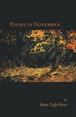 Mary Cuffe Perez - Poems in November, Häftad
