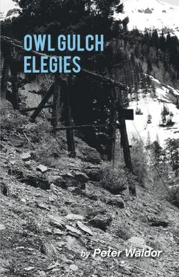 Peter Waldor - Owl Gulch Elegies, Häftad. Tillgänglighet: Lägg i varukorg