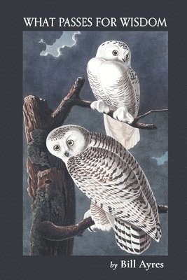 Bill Ayres - What Passes for Wisdom, Häftad