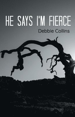 Debbie Collins - he says i'm fierce, Häftad