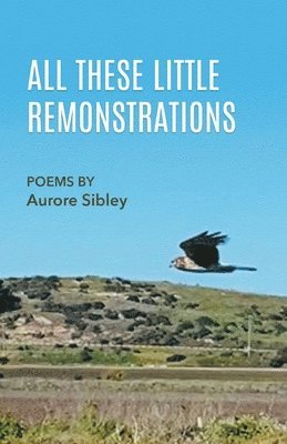 Aurore Sibley - All These Little Remonstrations, Häftad