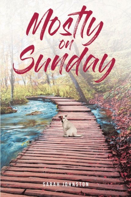 Sarah Johnston - Mostly on Sunday, E-bok