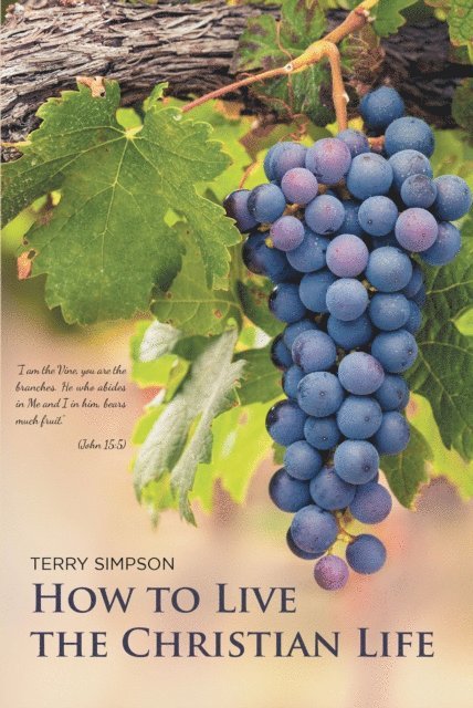 Terry Simpson - How to Live the Christian Life, E-bok
