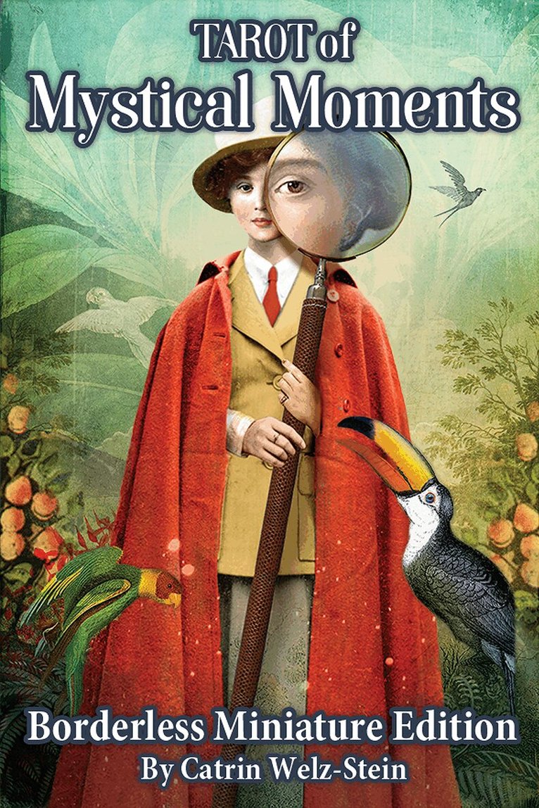 Catrin WelzStein - Tarot of Mystical Moments Borderless Miniature Edition, Övrigt
