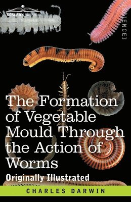 Charles Darwin - Formation of Vegetable Mould Through the Action of Worms, Häftad