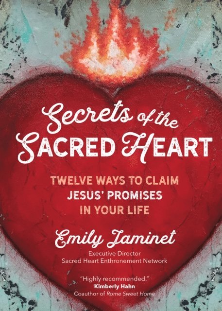 Emily Jaminet - Secrets of the Sacred Heart, E-bok