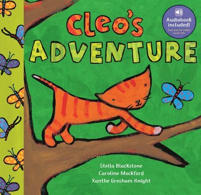 Stella Blackstone - Cleo's Adventure, Kartonnage