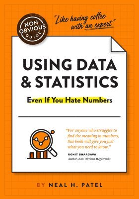Neal Patel - The Non-Obvious Guide to Using Data & Statistics, Häftad