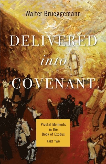 Walter Brueggemann, Brent A. Strawn - Delivered into Covenant, E-bok