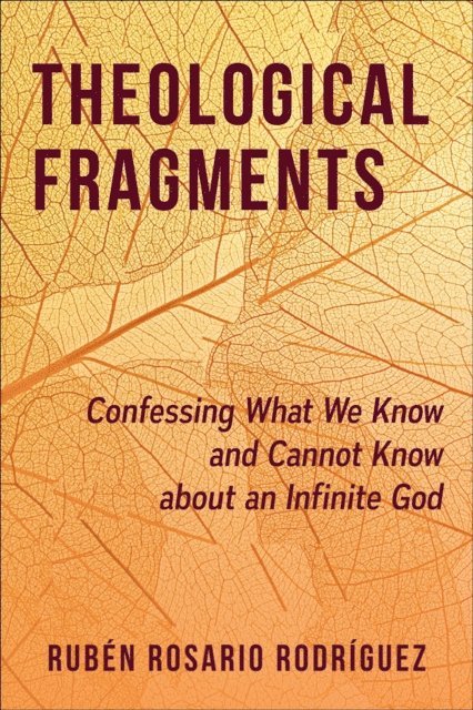 Ruben Rosario Rodriguez - Theological Fragments, E-bok
