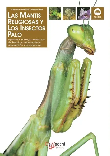 Marco Salemi, Francesco Tomasinelli - La mantis religiosa y los insectos palo, E-bok. Tillgänglighet: Lägg i varukorg