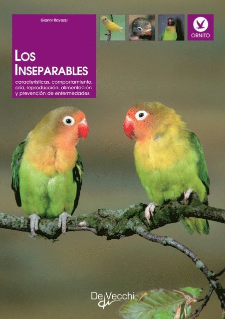 Gianni Ravazzi - Los inseparables, E-bok. Tillgänglighet: Lägg i varukorg