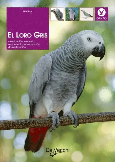 Guy Barat - El loro gris, E-bok. Tillgänglighet: Lägg i varukorg