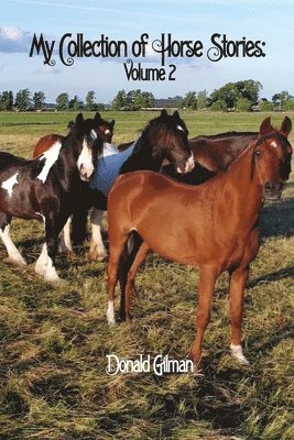 Donald Gilman - My Collection of Horse Stories: Volume 2, Häftad. Tillgänglighet: Lägg i varukorg