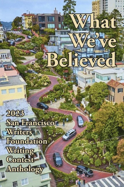 E A Provost - What We've Believed, E-bok