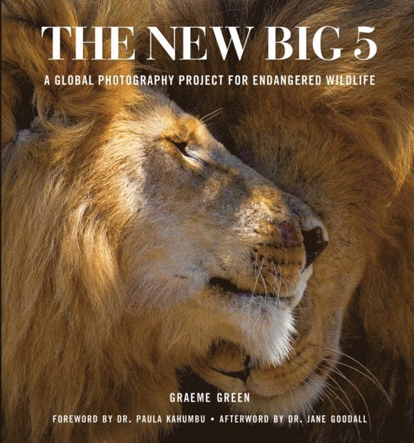 Graeme Green - New Big 5, E-bok