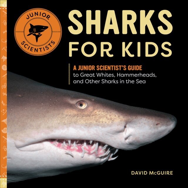 David McGuire - Sharks for Kids, E-bok